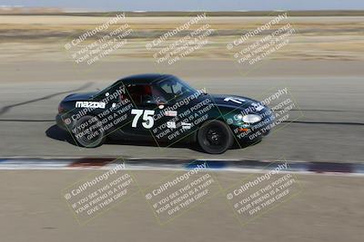 media/Nov-04-2023-CalClub SCCA (Sat) [[cb7353a443]]/Group 3/Cotton Corners (Race)/